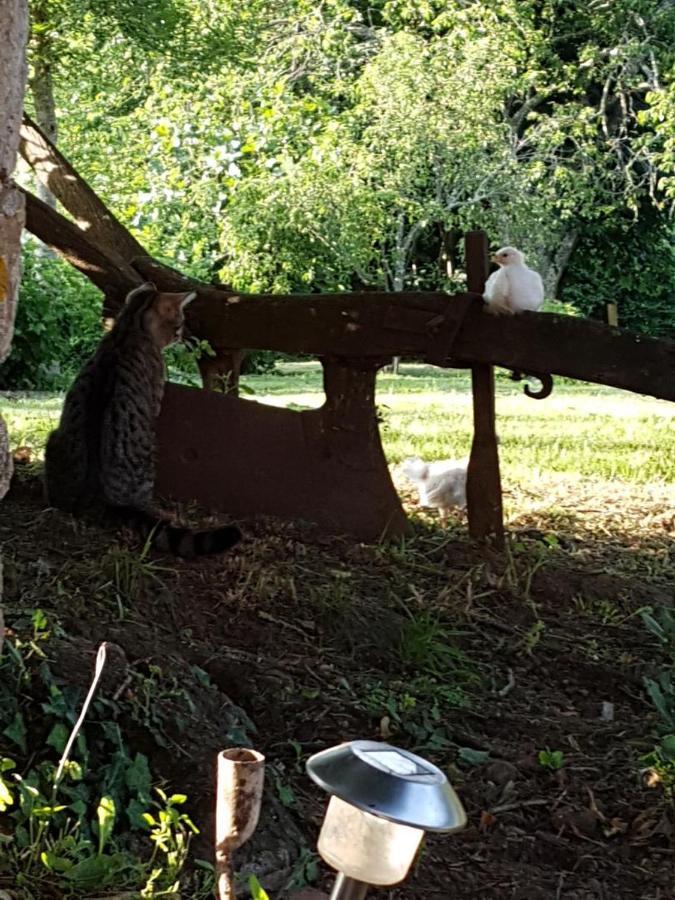 Les 3 Tilleuls Bellac Exteriör bild
